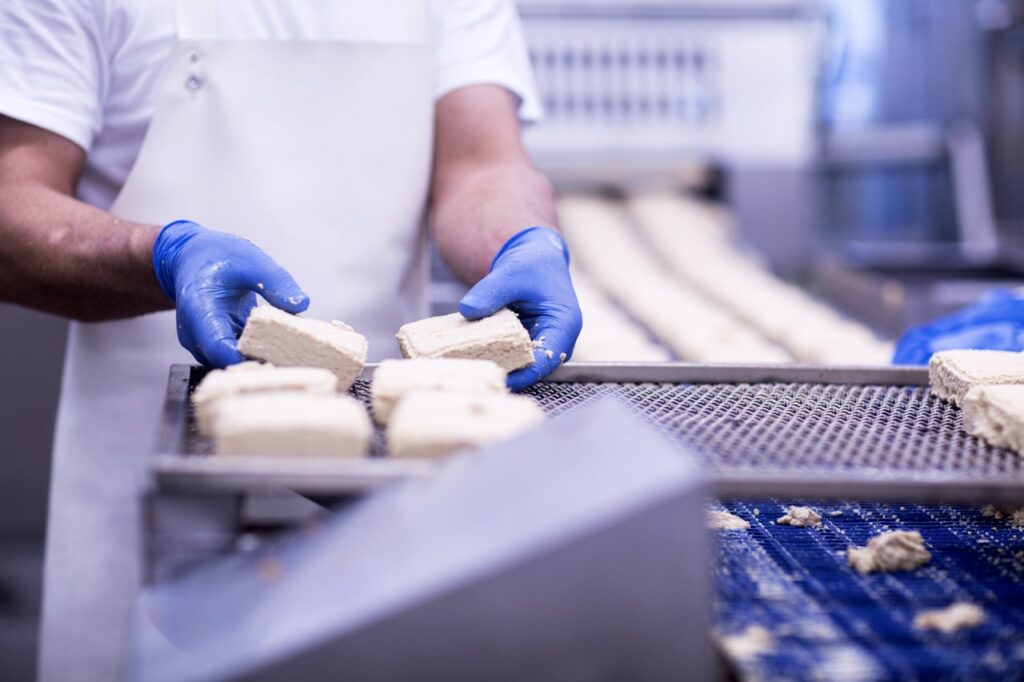 * Food Processing and Food Industry (Spożywcza i przetwórstwo) Duży