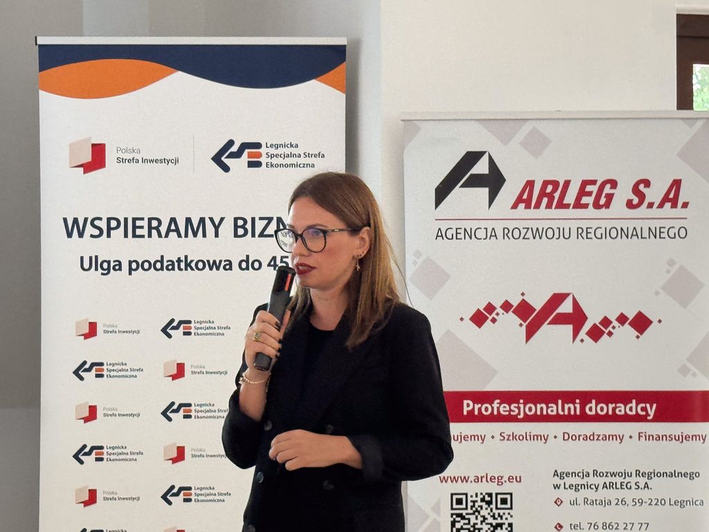 kobieta, przemawia, spotkanie